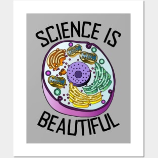 Science Is Beautiful Posters and Art